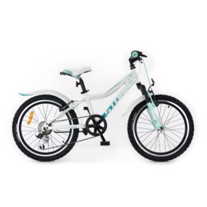 Rower Storm Belle 20"