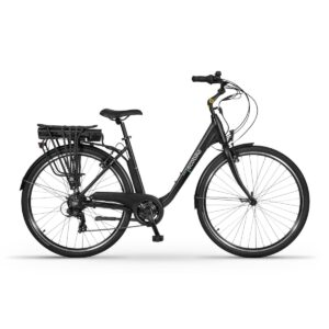 Rower Ecobike Basic Black