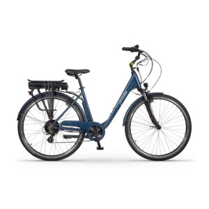 Rower Ecobike Traffic Blue