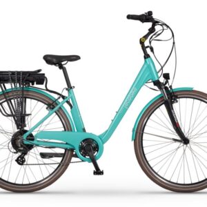 Rower EcoBike Traffic Mint